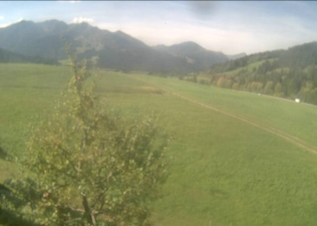 Archiv Foto Webcam Hochfilzen, Tirol