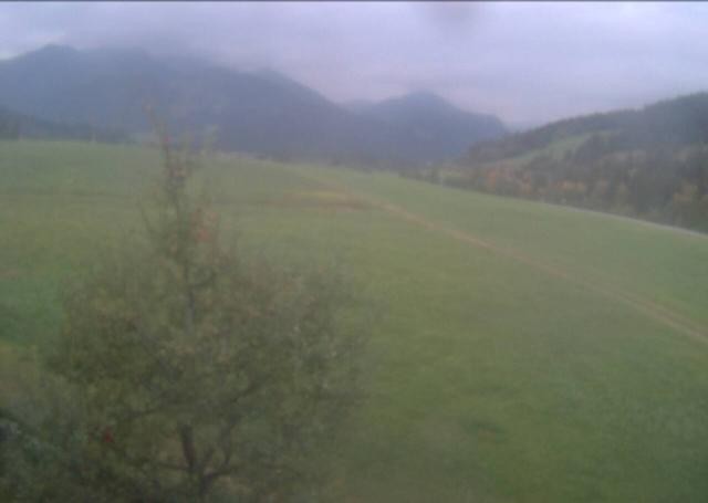 Archived image Webcam Hochfilzen, Tyrol