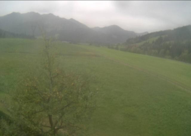 Archived image Webcam Hochfilzen, Tyrol