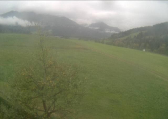 Archived image Webcam Hochfilzen, Tyrol