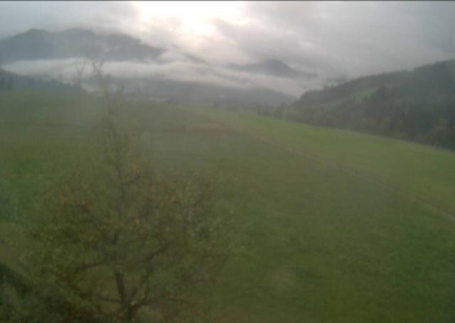 Archived image Webcam Hochfilzen, Tyrol