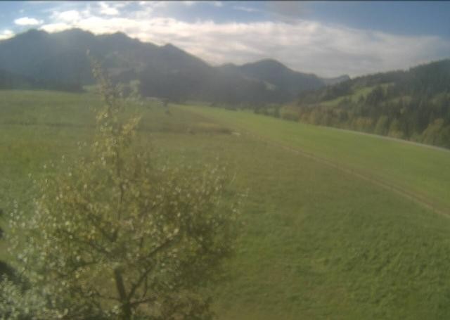 Archived image Webcam Hochfilzen, Tyrol