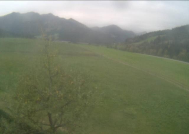 Archived image Webcam Hochfilzen, Tyrol