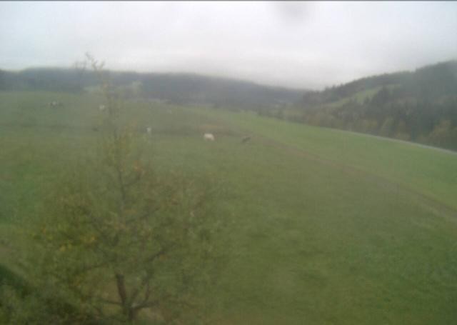 Archived image Webcam Hochfilzen, Tyrol