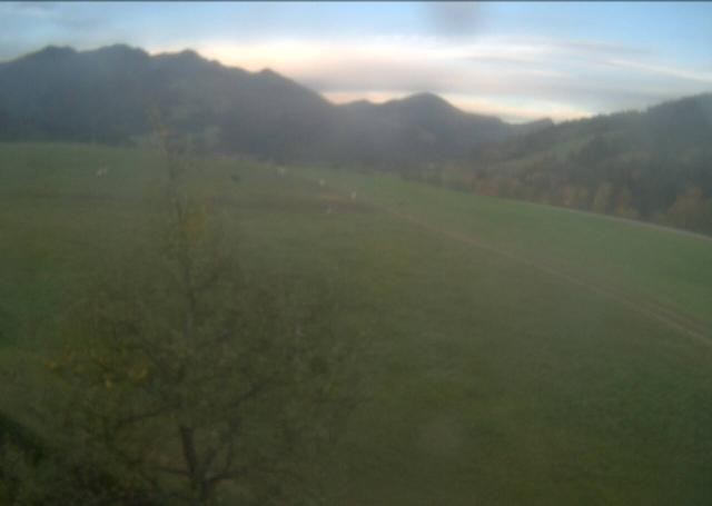 Archiv Foto Webcam Hochfilzen, Tirol