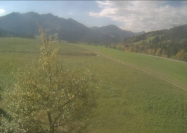 Archiv Foto Webcam Hochfilzen, Tirol