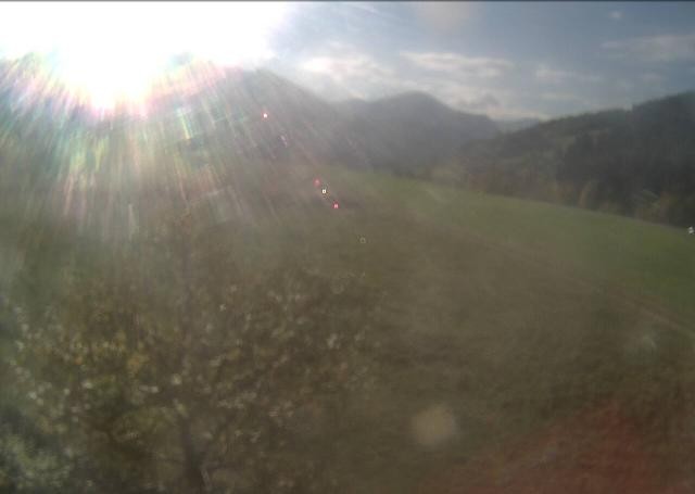 Archiv Foto Webcam Hochfilzen, Tirol