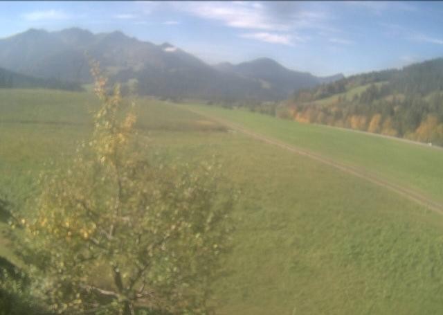 Archiv Foto Webcam Hochfilzen, Tirol