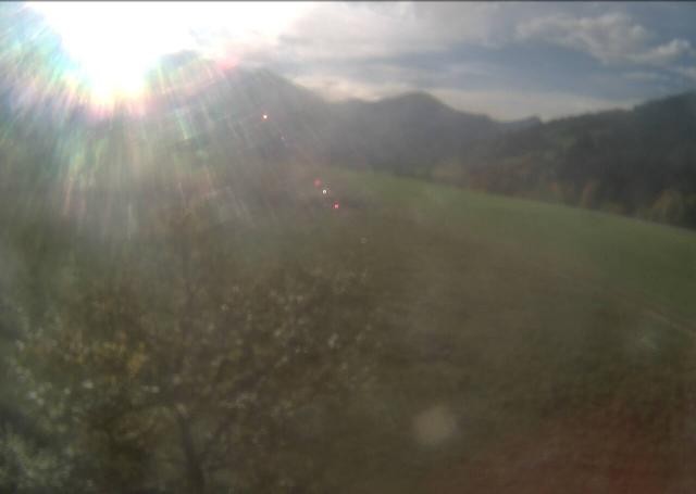 Archiv Foto Webcam Hochfilzen, Tirol