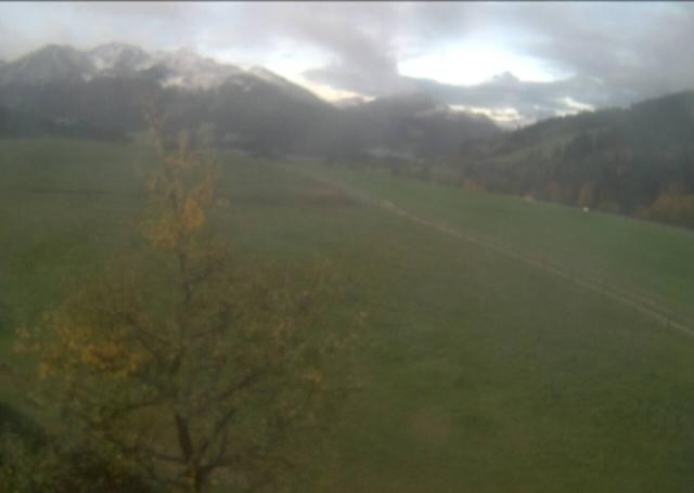 Archiv Foto Webcam Hochfilzen, Tirol