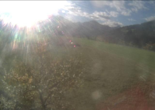 Archiv Foto Webcam Hochfilzen, Tirol