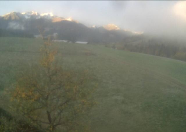 Archiv Foto Webcam Hochfilzen, Tirol
