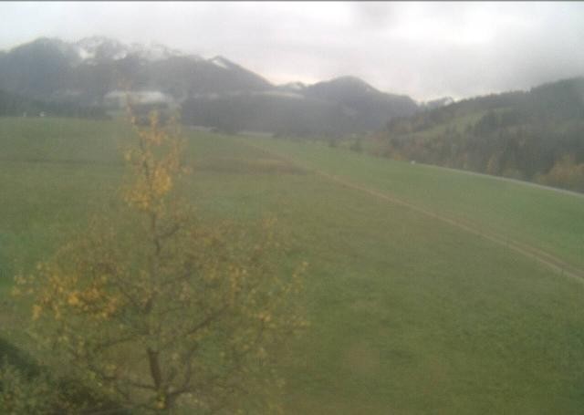 Archiv Foto Webcam Hochfilzen, Tirol