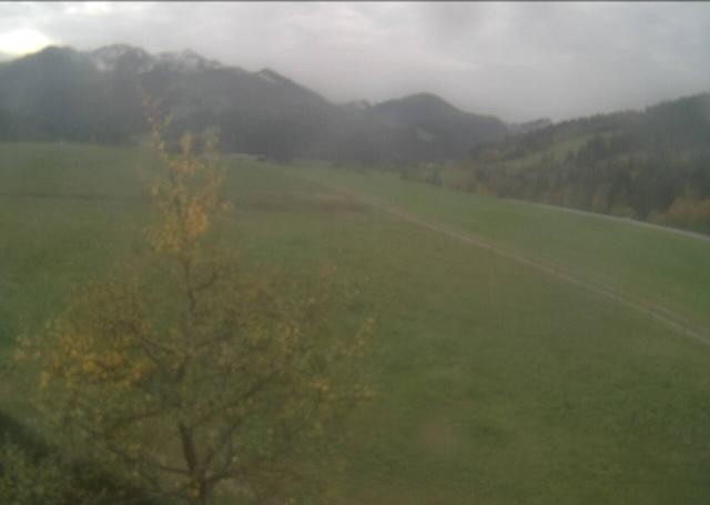 Archiv Foto Webcam Hochfilzen, Tirol
