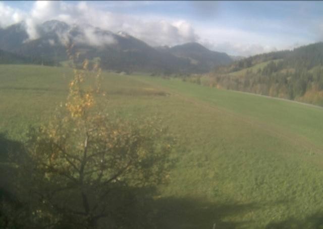 Archiv Foto Webcam Hochfilzen, Tirol