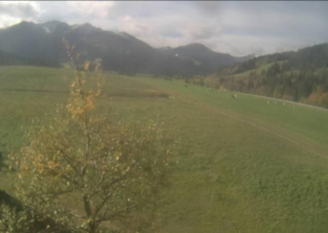 Archiv Foto Webcam Hochfilzen, Tirol