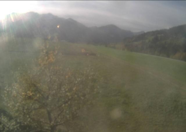 Archiv Foto Webcam Hochfilzen, Tirol
