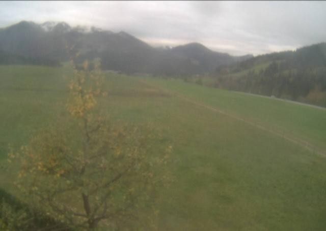 Archiv Foto Webcam Hochfilzen, Tirol