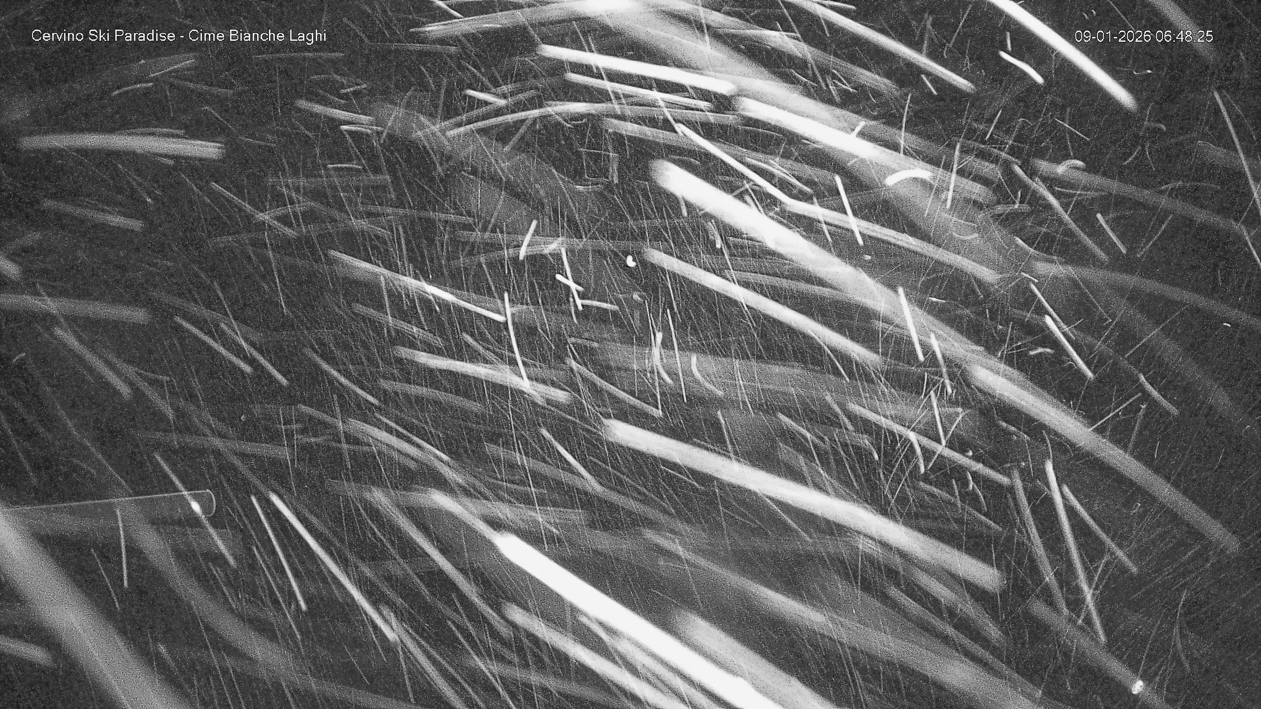 Archiv Foto Webcam Cervinia - Cime Bianche Laghi