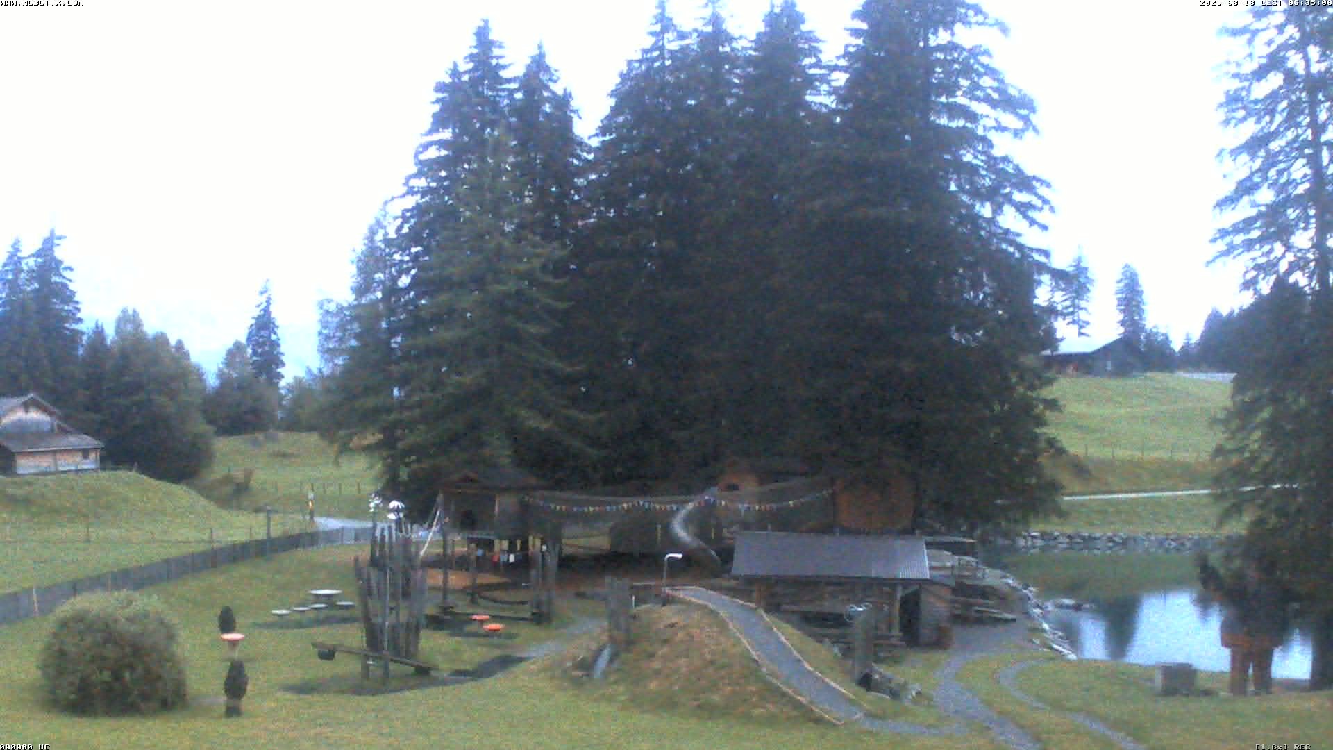Archiv Foto Webcam Bidmi