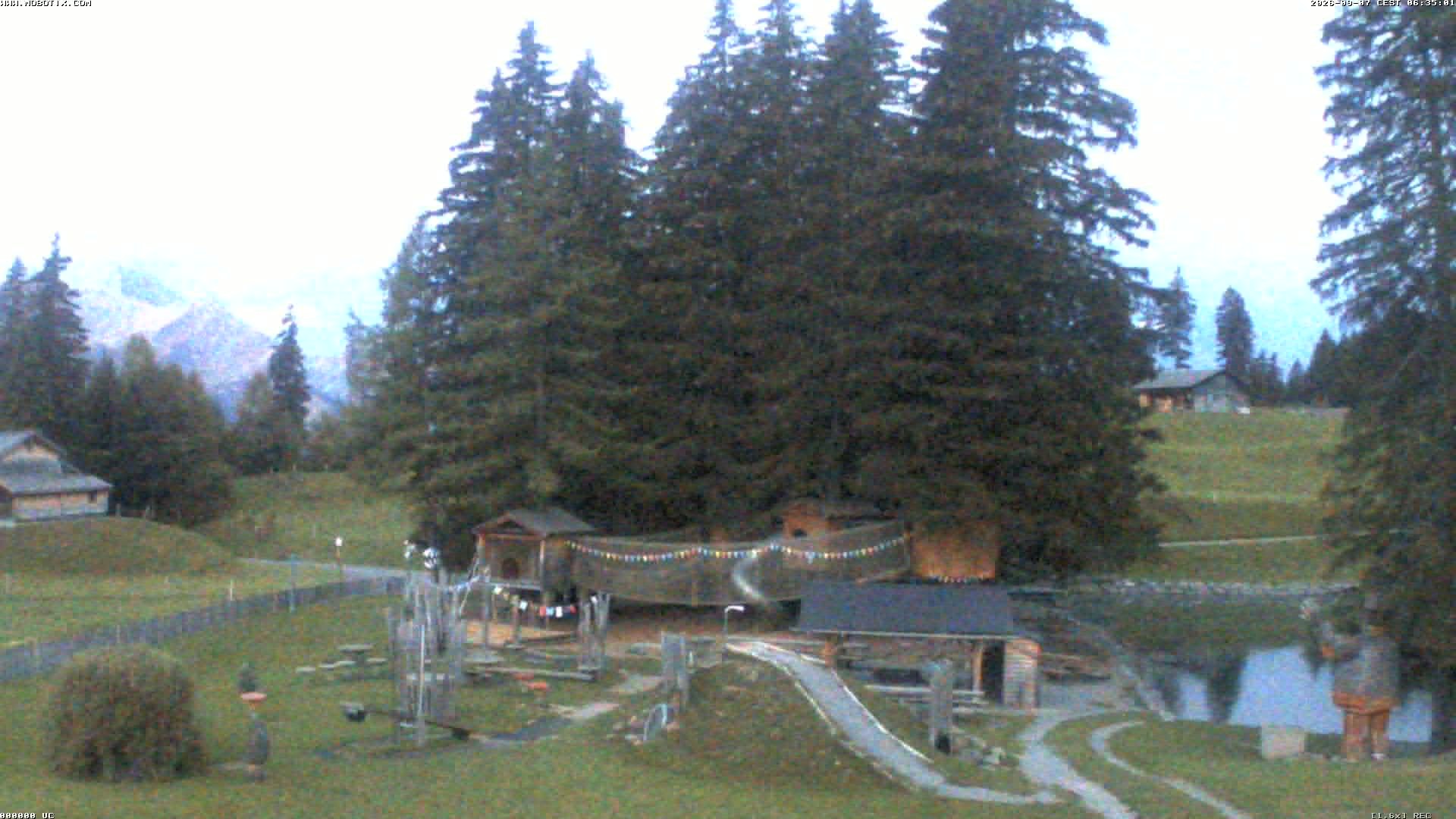 Archiv Foto Webcam Bidmi