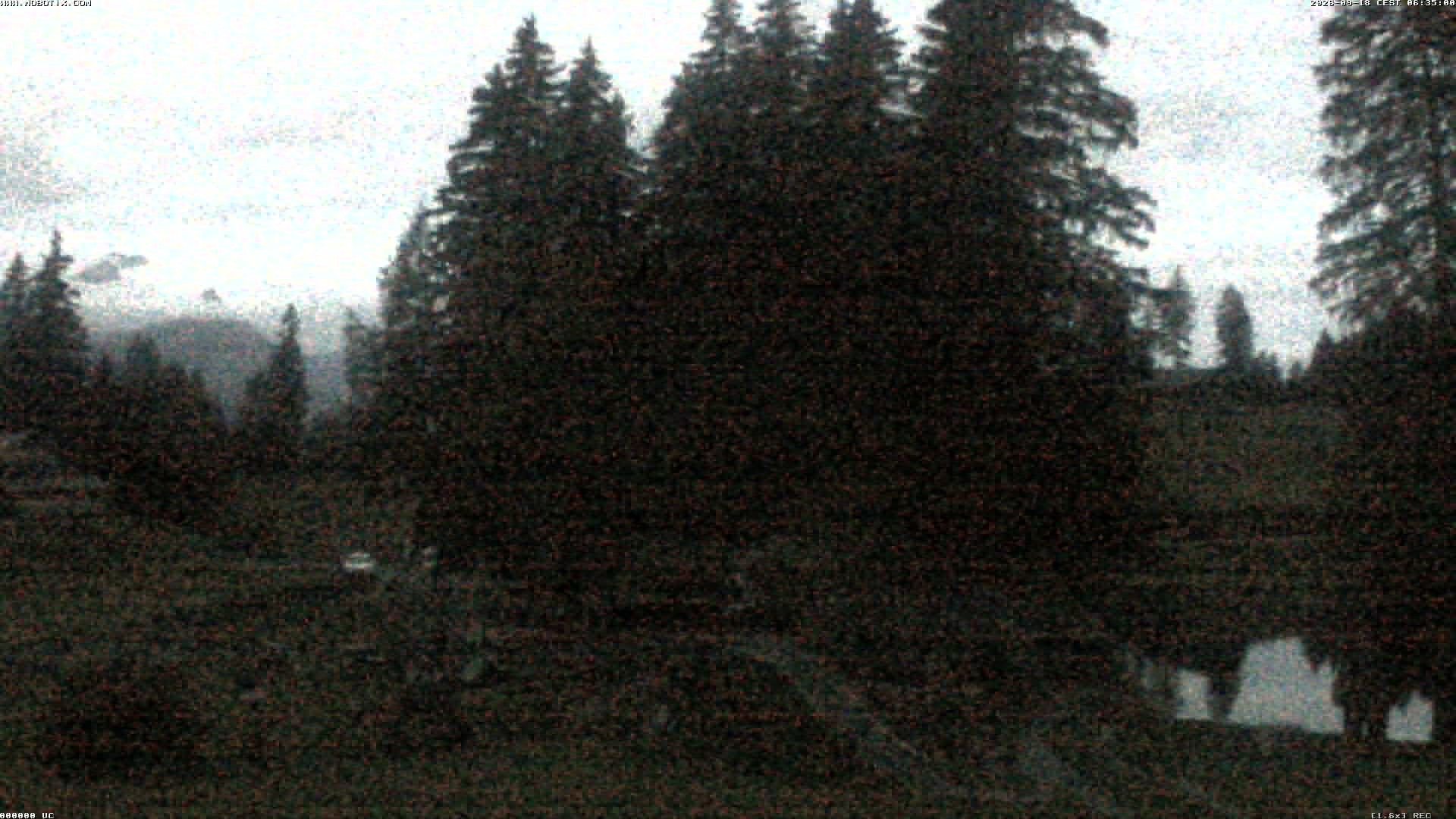 Archiv Foto Webcam Bidmi