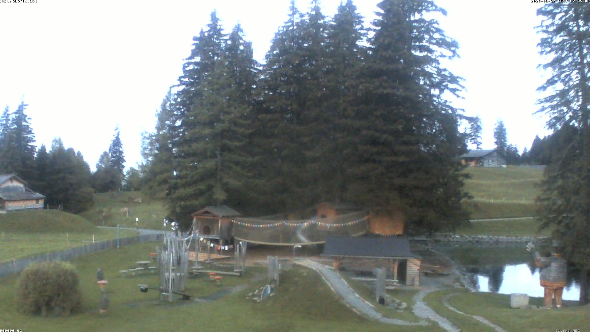 Archiv Foto Webcam Bidmi