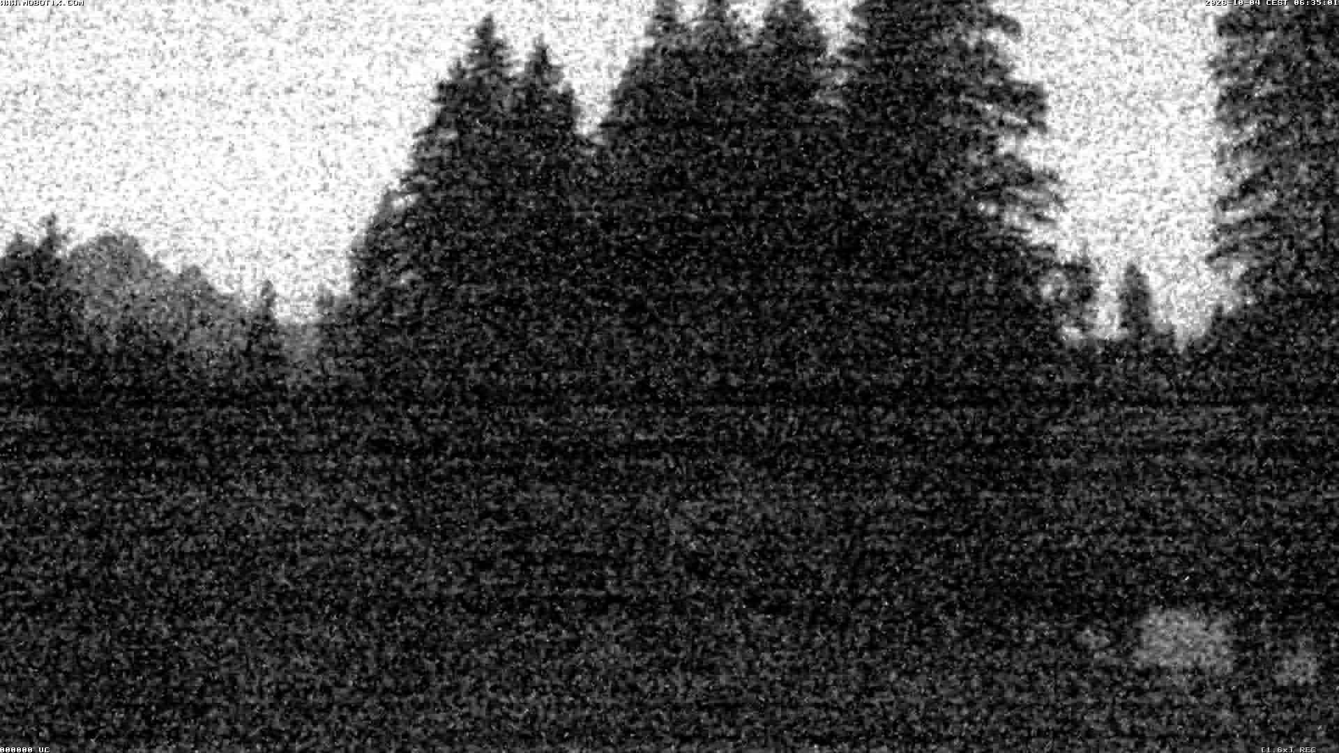 Archiv Foto Webcam Bidmi