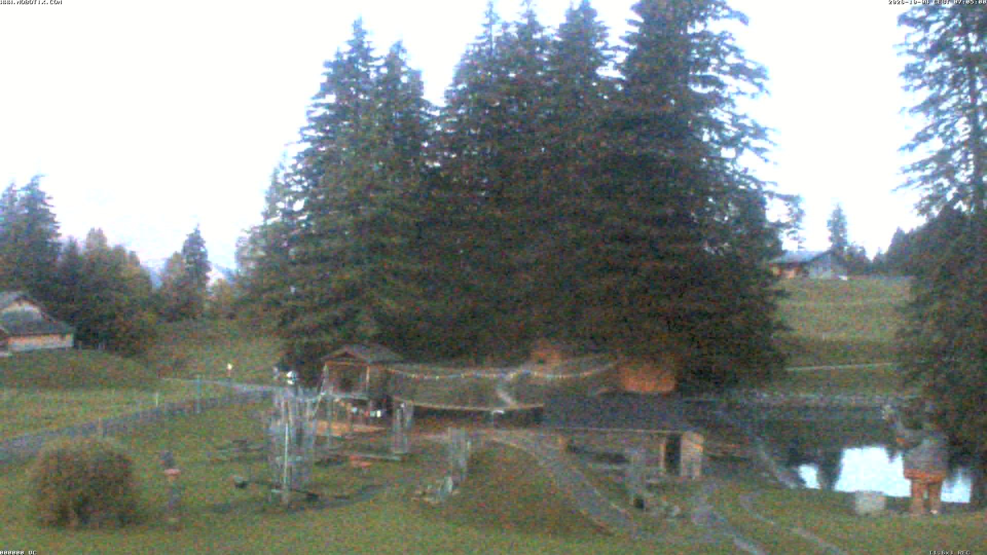 Archiv Foto Webcam Bidmi