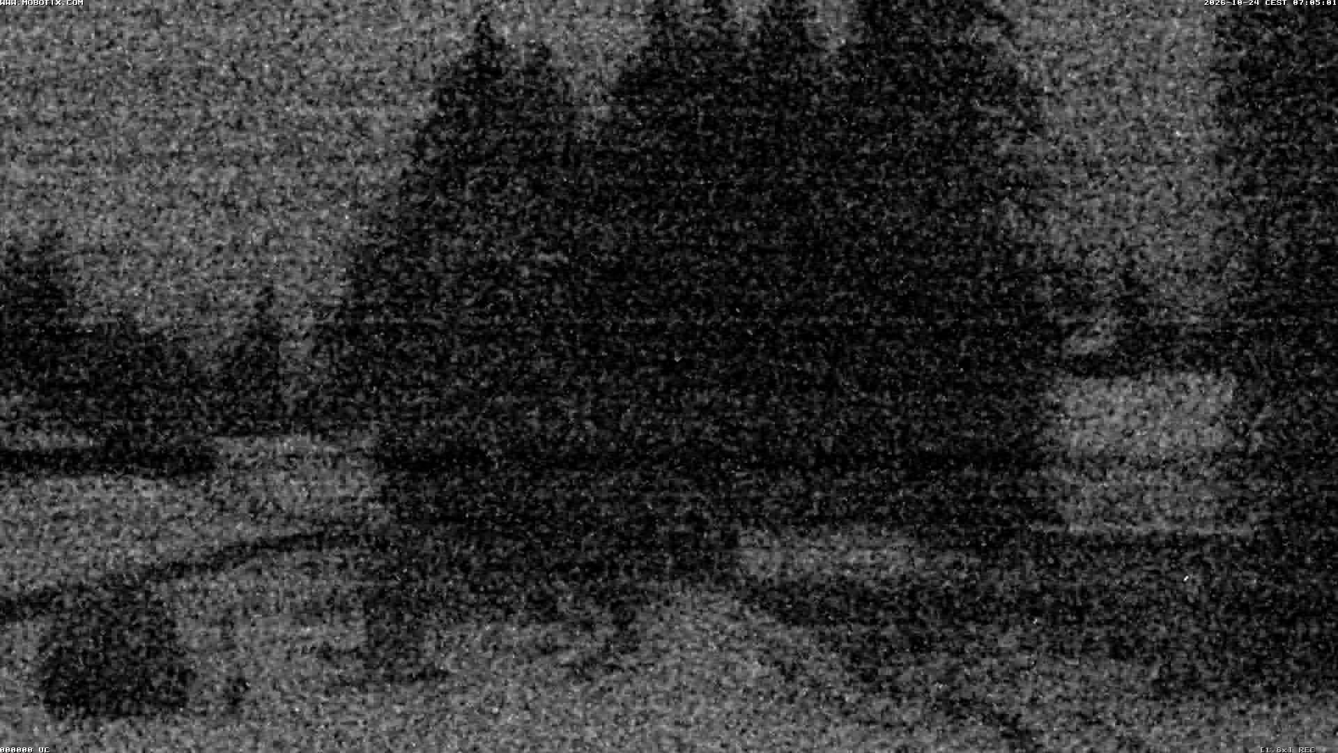 Archiv Foto Webcam Bidmi