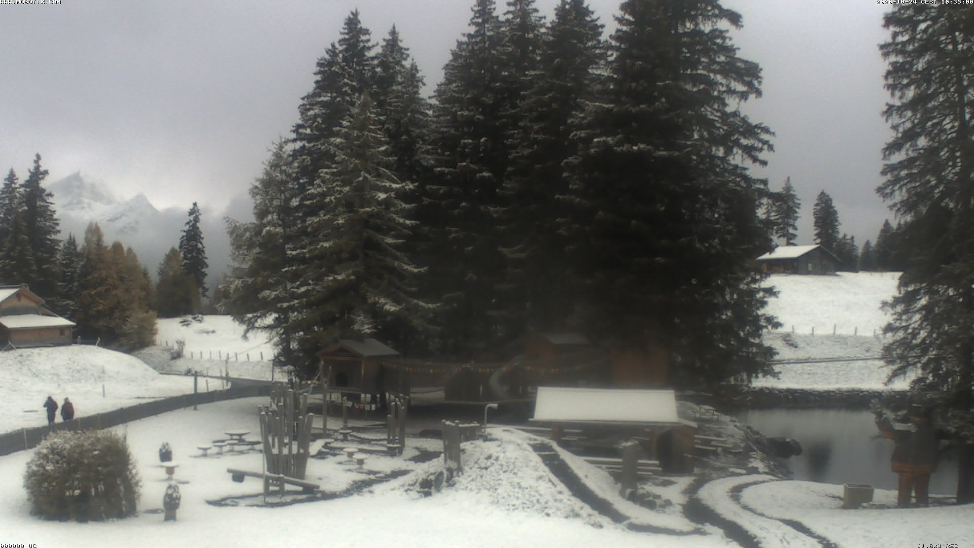 Archiv Foto Webcam Bidmi