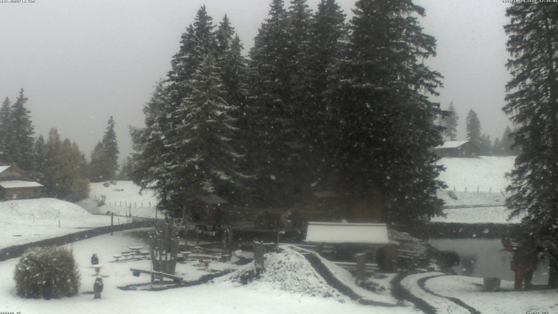 Archiv Foto Webcam Bidmi