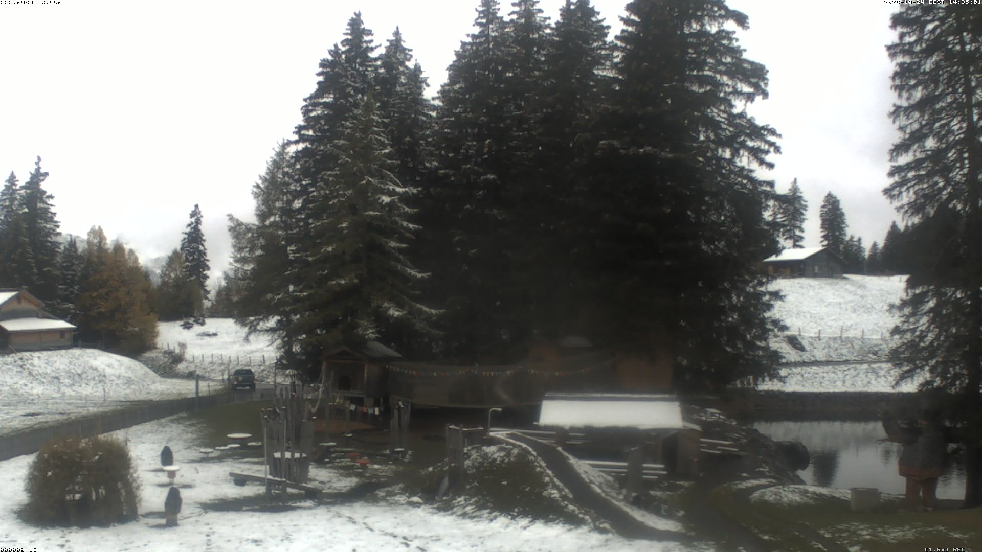 Archiv Foto Webcam Bidmi