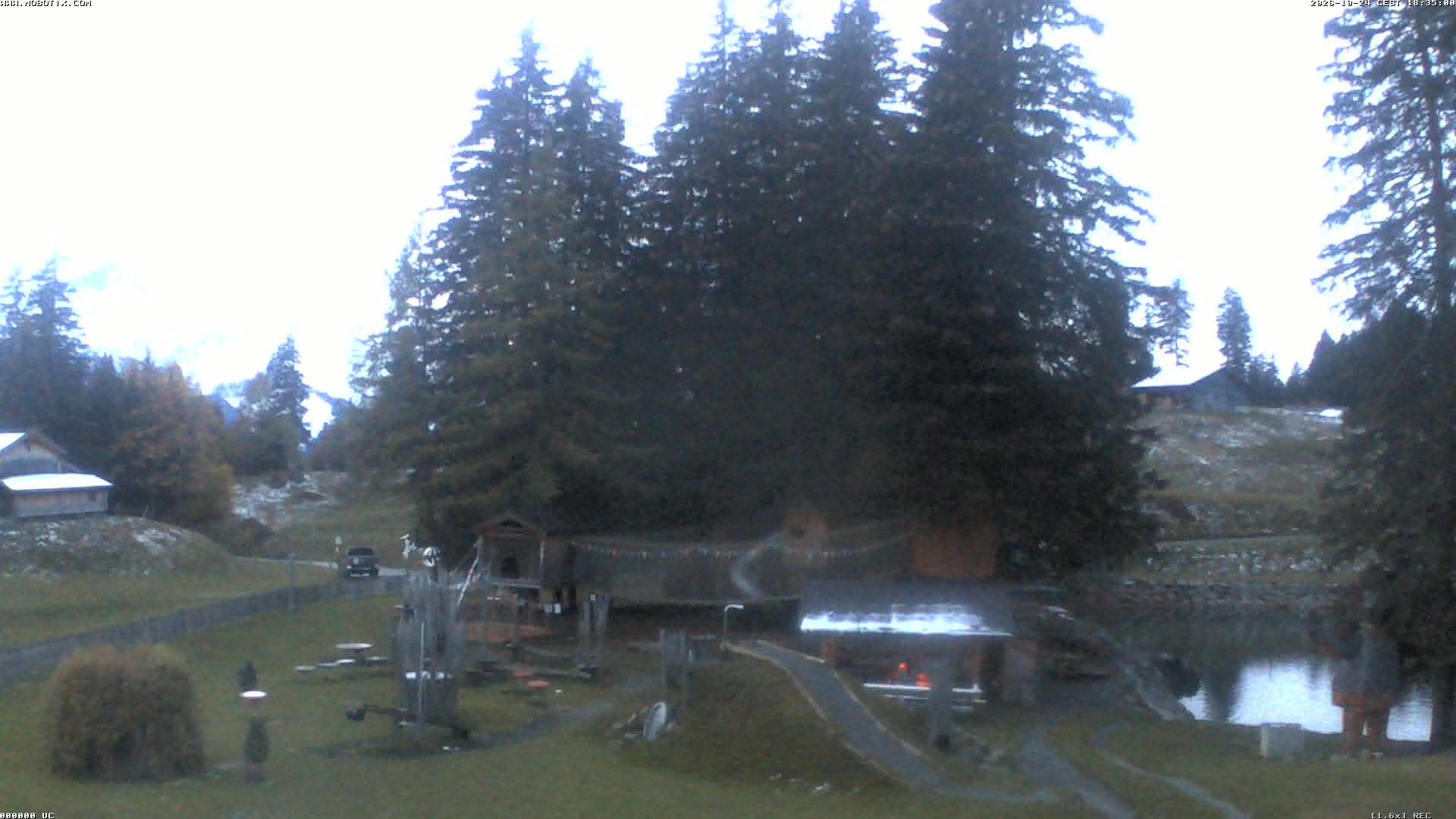 Archiv Foto Webcam Bidmi
