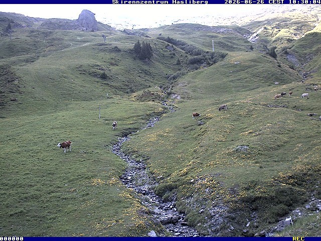 Archived image Webcam Meiringen-Hasliberg (1.884m)