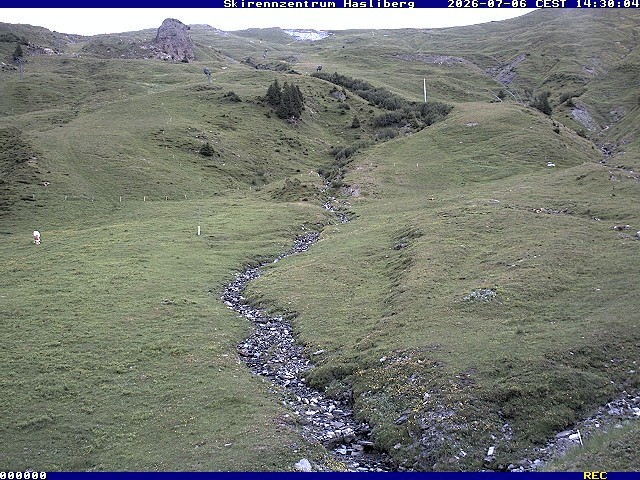 Archiv Foto Webcam Meiringen-Hasliberg (1.884m)