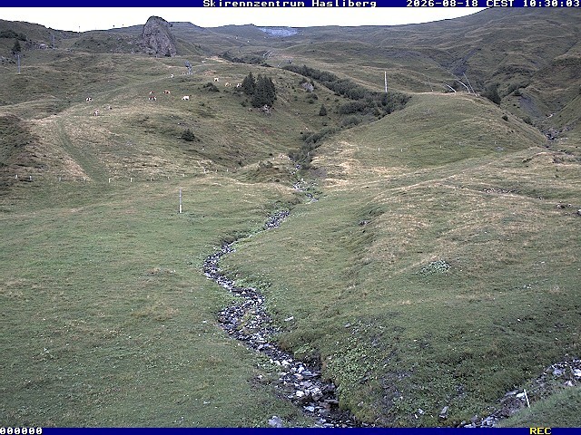 Archiv Foto Webcam Meiringen-Hasliberg (1.884m)