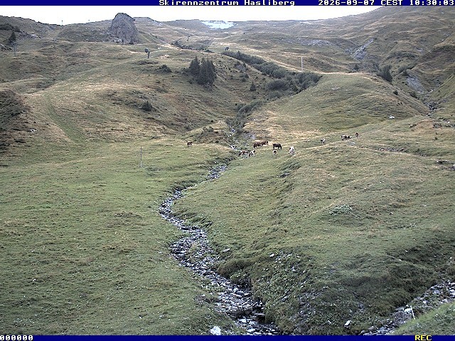 Archiv Foto Webcam Meiringen-Hasliberg (1.884m)