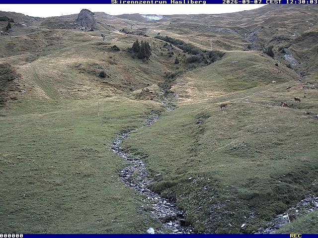 Archiv Foto Webcam Meiringen-Hasliberg (1.884m)