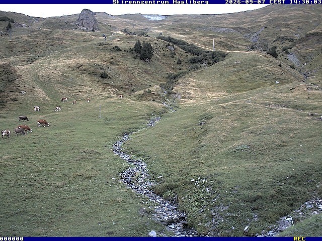 Archiv Foto Webcam Meiringen-Hasliberg (1.884m)