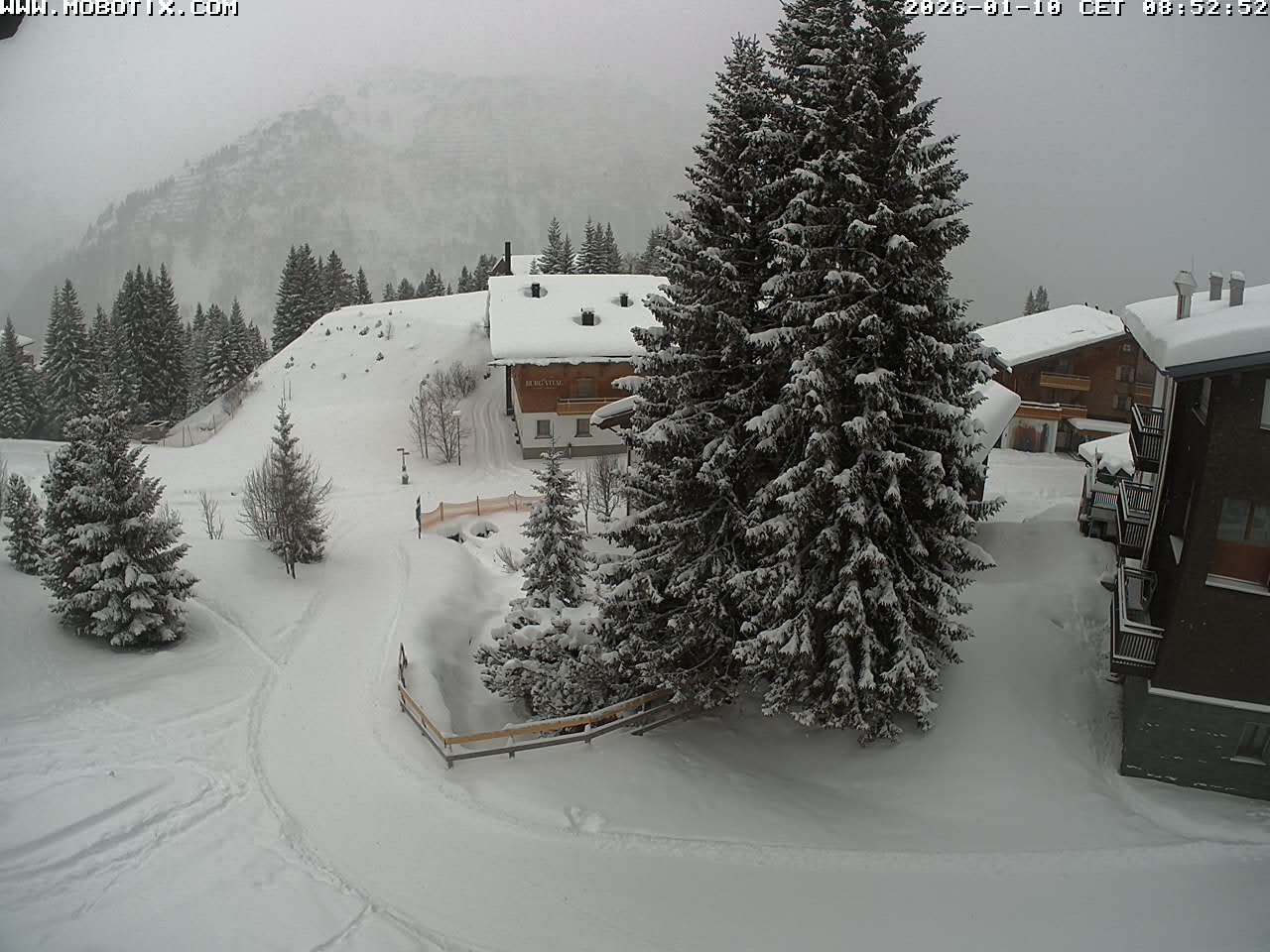 Archived image Webcam Oberlech: guest house Berger
