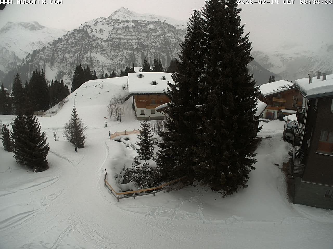 Archived image Webcam Oberlech: guest house Berger
