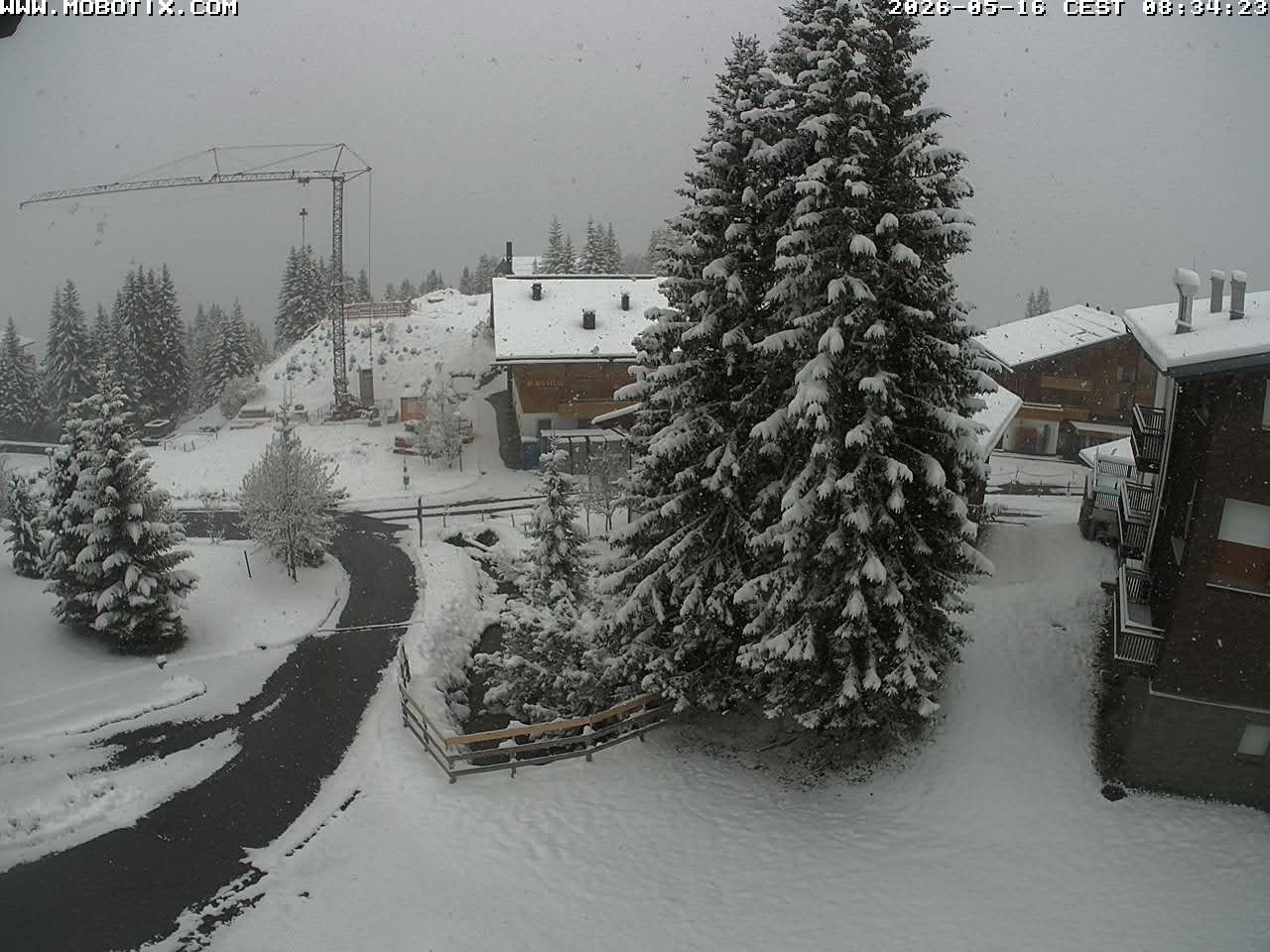 Archived image Webcam Oberlech: guest house Berger