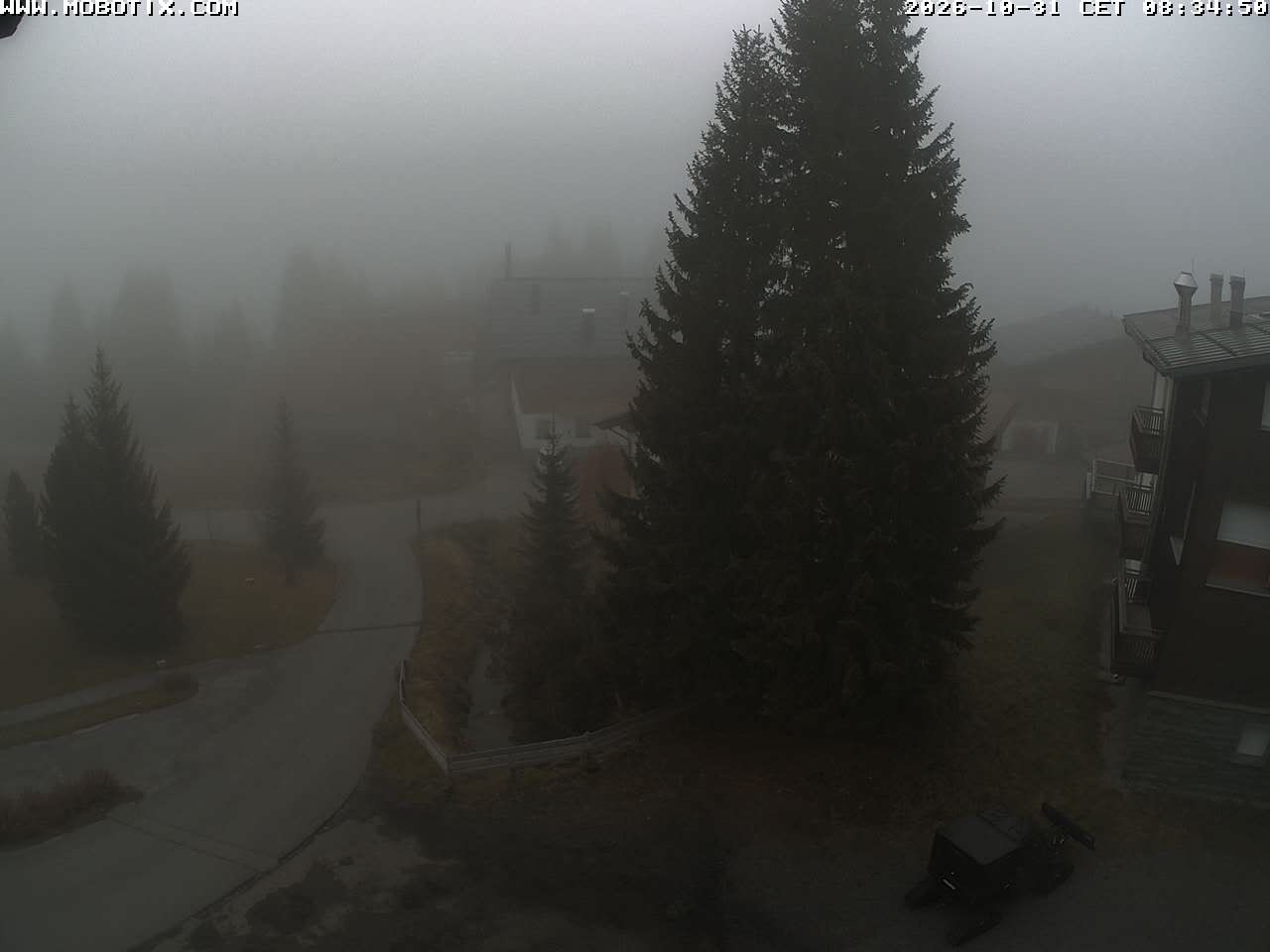 Archiv Foto Webcam Oberlech: Pension Berger