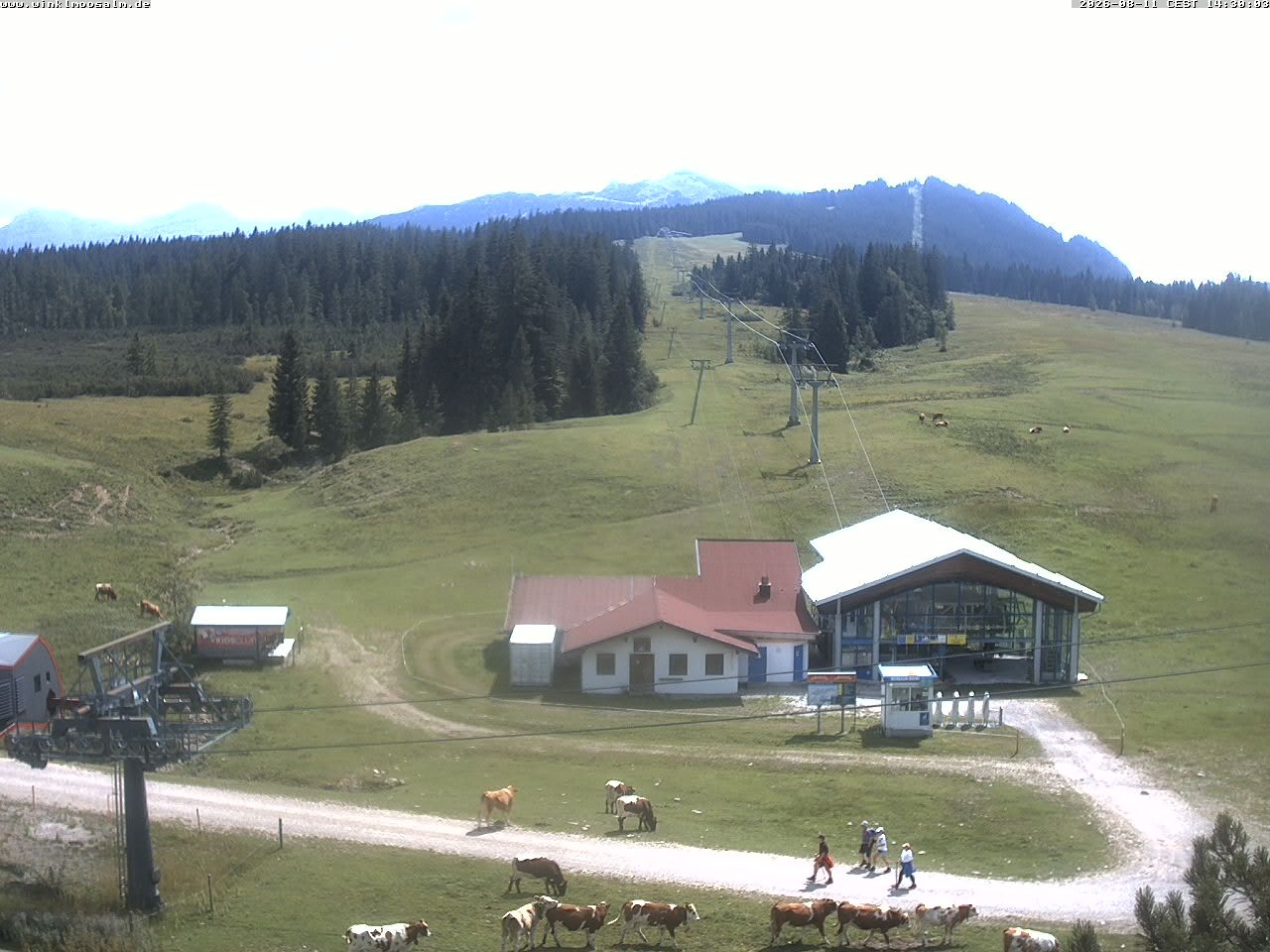 Archiv Foto Webcam Ausblick Winklmoosalm auf Rossalm-Lift