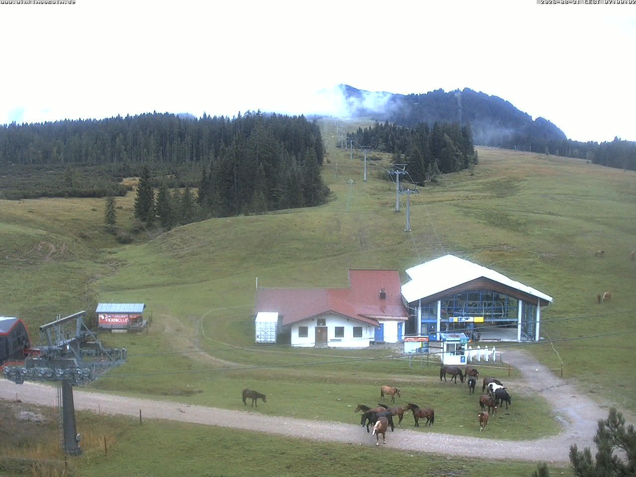 Archived image Webcam View of Winklmoosalm
