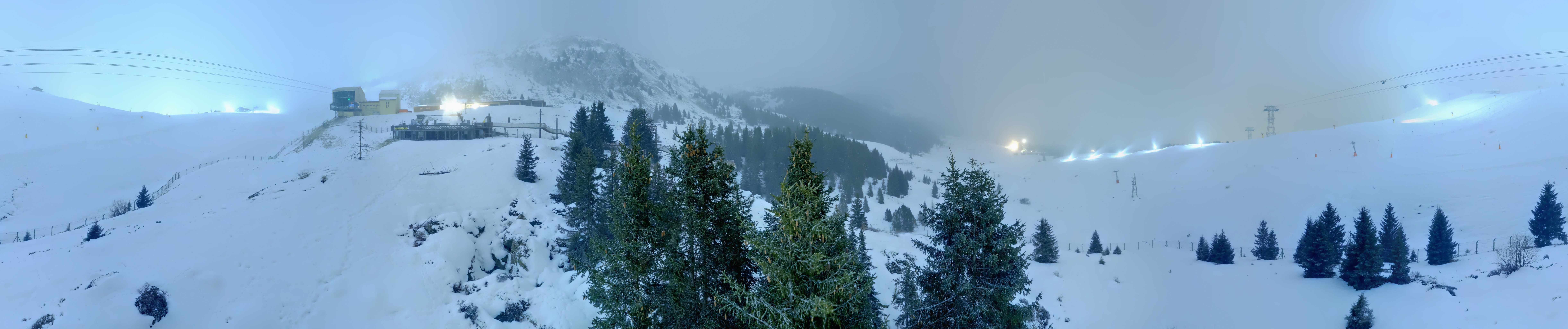 Archived image Webcam Arosa Bear Sanctuary