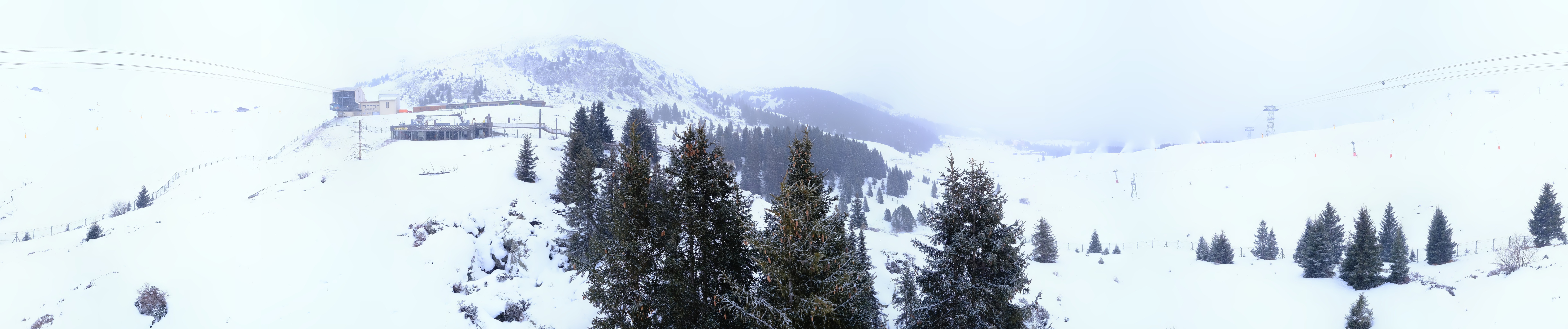 Archived image Webcam Arosa Bear Sanctuary