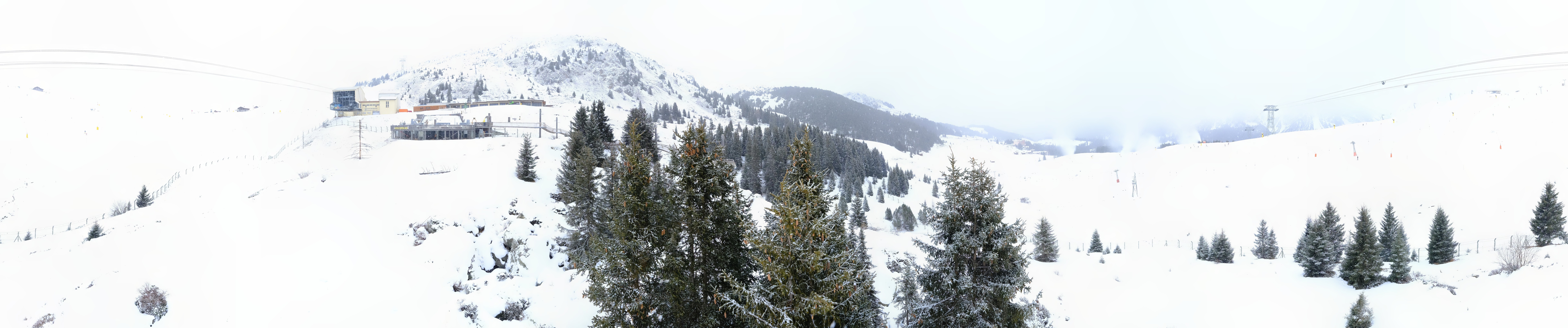 Archived image Webcam Arosa Bear Sanctuary