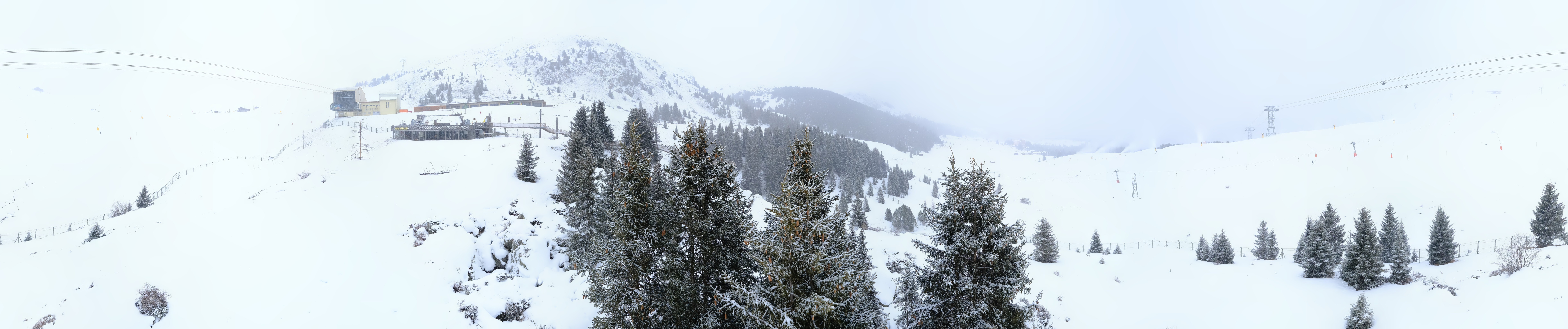 Archived image Webcam Arosa Bear Sanctuary